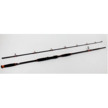 Спиннинг сомовый Zino CatFish 2.55м ,тест 100-250гр
