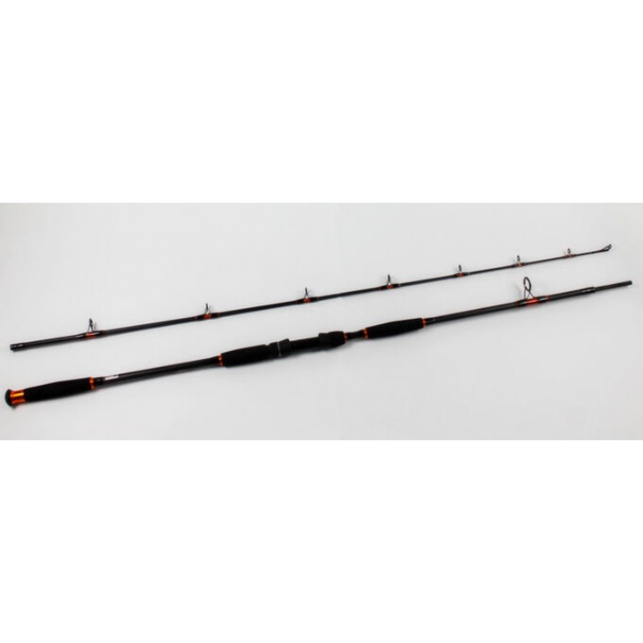 Спиннинг сомовый Zino CatFish 2.55м ,тест 100-250гр