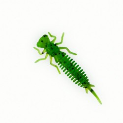 Larva