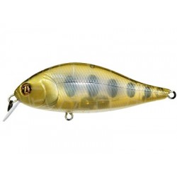 Bet-A-Shad