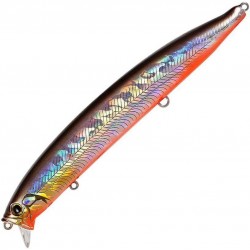 Zanoza