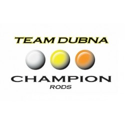Team Dubna