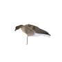 Гусь Гуменник 02 S/P GS-3D LITE N/W 12 шт    БЕЗ ЛАП